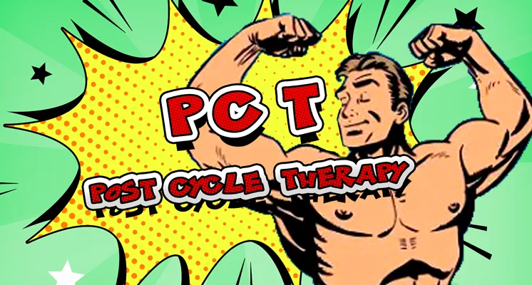 Post-cycle therapy (PCT) products